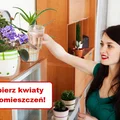 Jak dobrać KWIATY do pomieszczeń w MIESZKANIU?