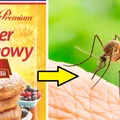 Cukier wanilinowy odstrasza komary! Sprawdź, jak go stosować