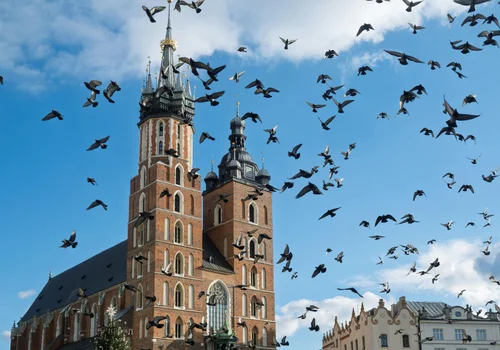 Nowa opłata w Krakowie? Tyle mogą zapłacić turyści!