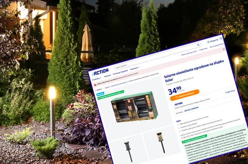 Te solarne lampki z Action za 34 zł będą hitem tej wiosny! Aż 3 sztuki, stylowy wygląd bez kabli i rachunków, a ogród jak z bajki