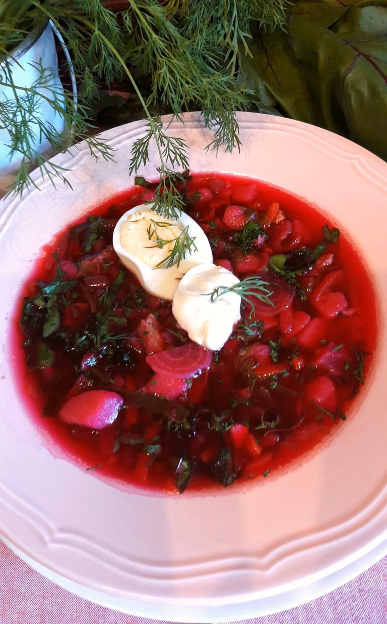 Zupa z botwinki