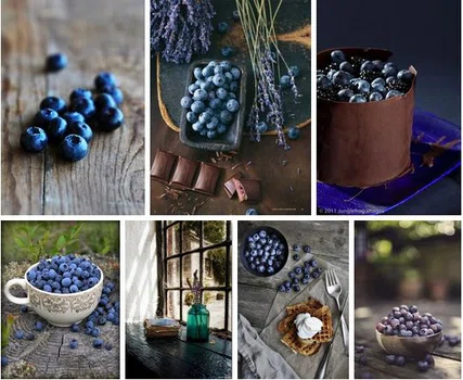 Borówka Amerykańska <3