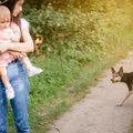 Co zrobić gdy zaatakuje nas pies? Ta metoda może uratować życie!
