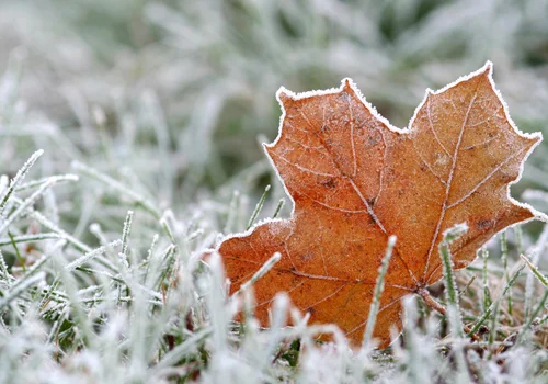 Zima wraca do Polski? Znamy datę nagłego ochłodzenia!