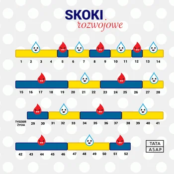 Kalendarz Skoków rozwojowych