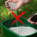 5 błędów przy nawożeniu trawnika, które niszczą twoją murawę!
