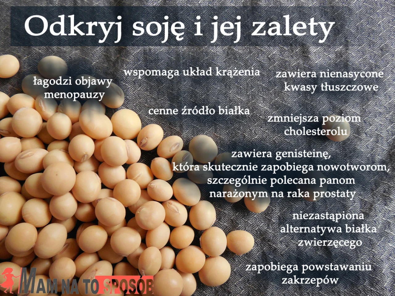 Dlaczego warto jeść soję?