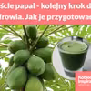 Liście papai - kolejny krok do zdrowia. Jak je przygotować?