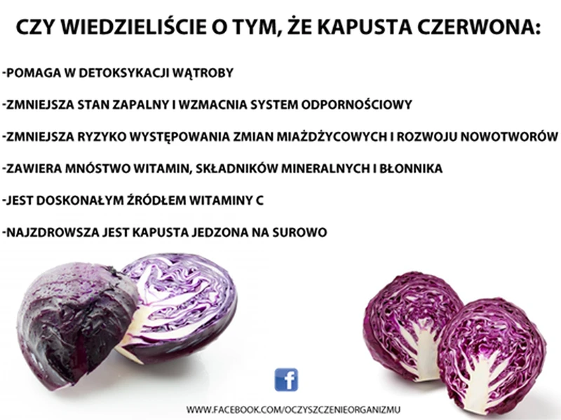 Czerwona kapusta - ciekawostki