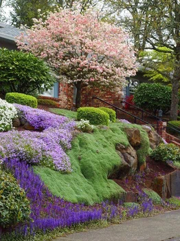 Kolorowy ogród