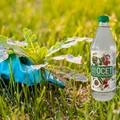 10 genialnych sposobów na wykorzystanie octu w ogrodzie!