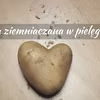 Mąka ziemniaczana w pielęgnacji