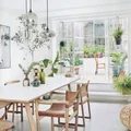 Rozgałęziona lampa