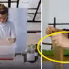 Polka stworzyła opakowanie, które można zjeść! Mówi o niej cały świat
