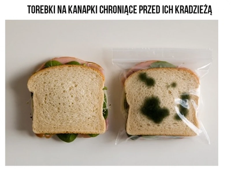 Torebki na kanapki chroniące przed ich kradzieżą