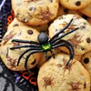 CIASTECZKA PIEGUSKI PAJĄCZKI