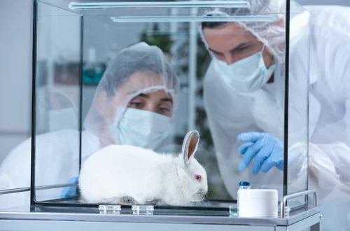 Światowy Dzień Zwierząt Laboratoryjnych – Dzień Refleksji nad Losami Zwierząt w Nauce