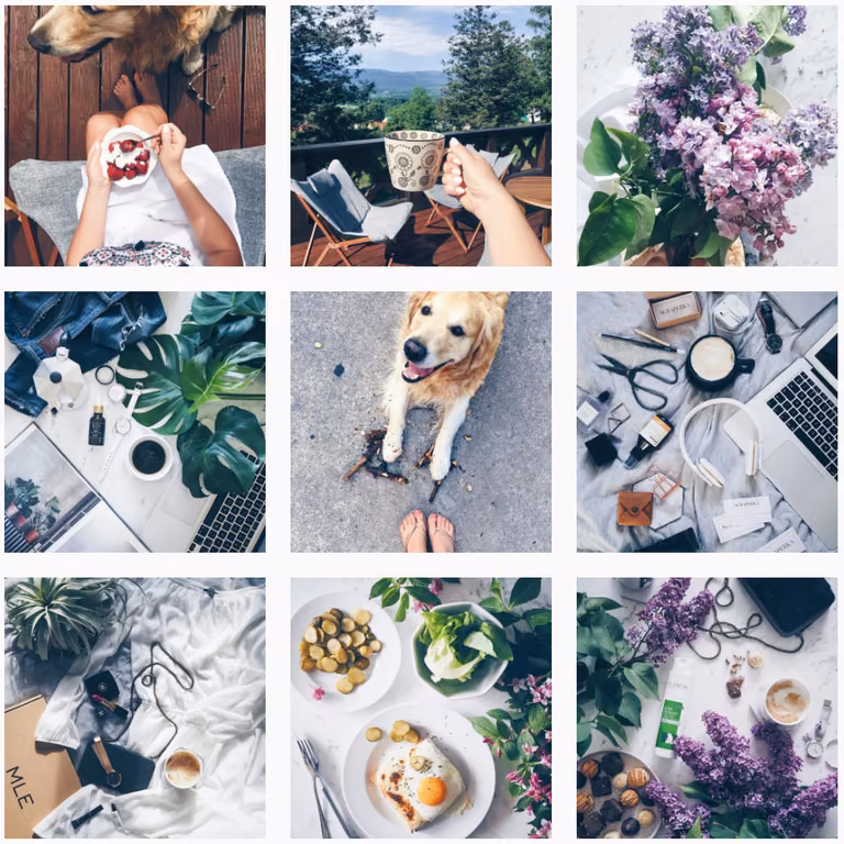 INSTAGRAM - MIGAWKI