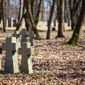Międzynarodowy Dzień Kombatanta: Honorując Bohaterów, Którzy Walczyli za Naszą Wolność
