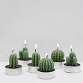 Świeczki w kształcie kaktusów