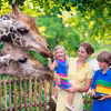 JAK ZROBIĆ lepsze zdjęcia w ZOO?