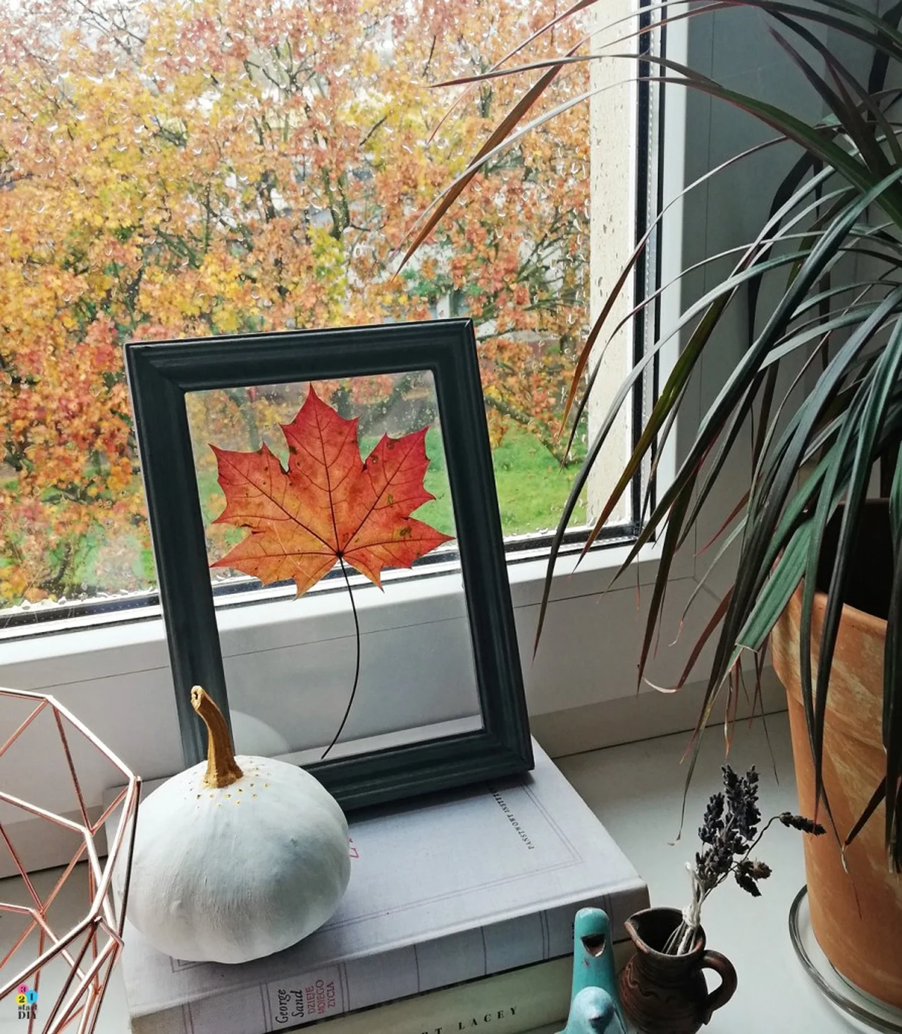 Jesienny liść w ramce – piękna dekoracja diy