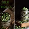 Gile trolla czyli karmelowy popcorn