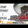 Eksperyment dla dzieci - MAGICZNY PALEC