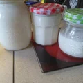 Domowy jogurt naturalny