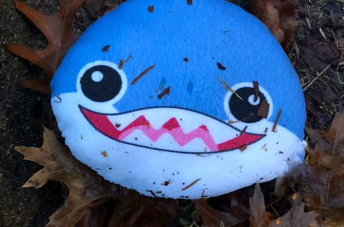 6 lat procesu o „Baby Shark”. Sąd ogłasza wyrok, a fani są w szoku!