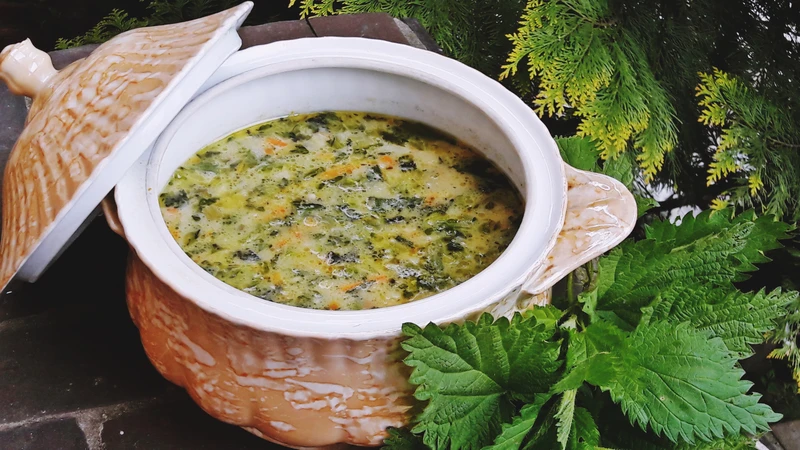 Majowa zupa z pokrzywą