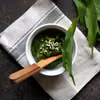 Pesto z czosnku  niedźwiedziego