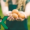 Witamina K. Dlaczego jest ważna dla organizmu? W jakich produktach się znajduje?