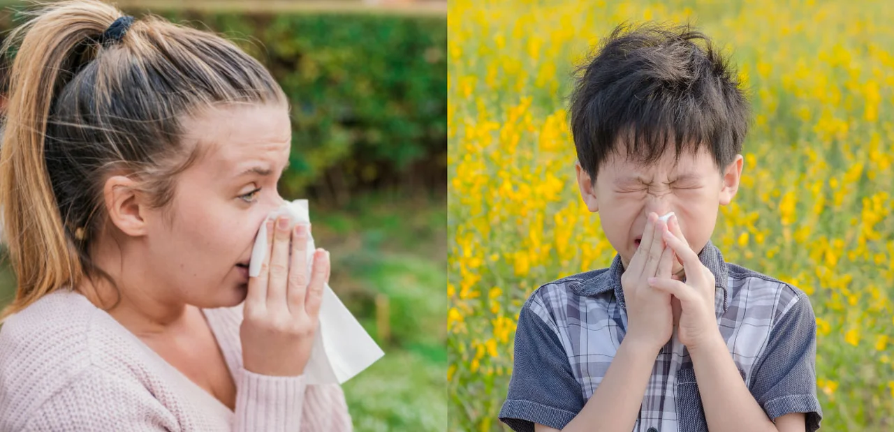 Przeziębienie czy alergia? Jak je odróżnić?