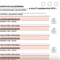 Jak głosować w wyborach samorządowych? Instrukcja krok po kroku
