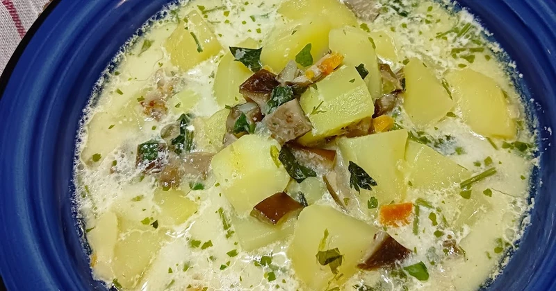 Zupa chrzanowa z grzybami leśnymi " Opieńki "