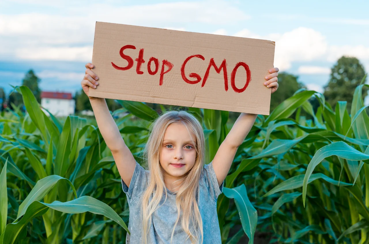 Międzynarodowy Dzień Opozycji Przeciw GMO: Refleksja nad przyszłością żywności