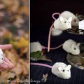Halloweenowe myszki
