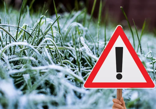 IMGW ostrzega przed nagłym chłodem. Te regiony odczują go najmocniej!