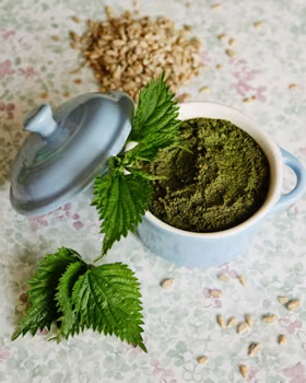 Pesto z pokrzywy i słonecznika