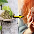 Herbata z oregano - lek na wiele schorzeń! Zobacz jak zrobić