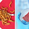 To będą jeść przyszłe pokolenia! 9 produktów przyszłości
