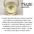 Sposób na muszki owocówki