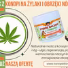 Maści z konopi na żylaki i obrzęki nóg