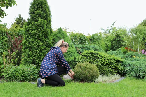 PROSTE SPOSOBY NA SPALANIE KALORII I SZCZUPŁĄ SYLWETKĘ - ALTERNATYWA DLA SIŁOWNI