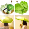 Super parasolka