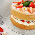 Biszkopt z mascarpone i truskawkami