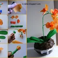 storczyk,orchidea z krepiny-krok po kroku