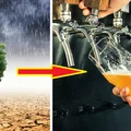 Zmiany klimatu wpłyną na ceny piwa – będzie dużo drożej!