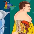 Oczyść swoje ciało z CUKRU w 3 DNI!
